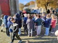 IMG20241112113110