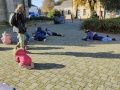 IMG20241112114537
