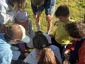 IMG-20260409-WA0009