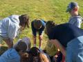 IMG-20260409-WA0019