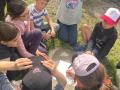 IMG-20260409-WA0034