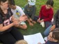 IMG-20260409-WA0035