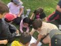 IMG-20260409-WA0037