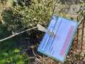 IMG-20240112-WA0001