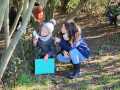 IMG-20240112-WA0019