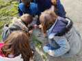 IMG-20240131-WA0000