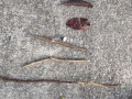 IMG20240129160308
