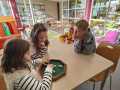 IMG-20240119-WA0024