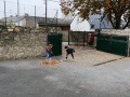 IMG20211120095701