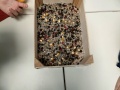 IMG20241007141559