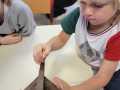 IMG-20241011-WA0012