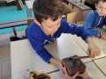 IMG-20241011-WA00161