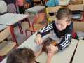IMG-20241011-WA0024