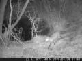 Hunter Camera