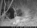 Hunter Camera