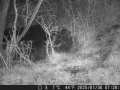 Hunter Camera