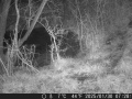 Hunter Camera