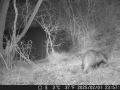 Hunter Camera