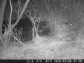 Hunter Camera