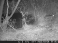 Hunter Camera