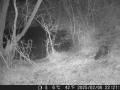 Hunter Camera