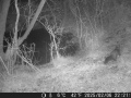 Hunter Camera