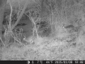Hunter Camera