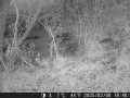 Hunter Camera