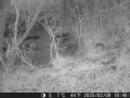 Hunter Camera