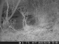 Hunter Camera