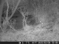 Hunter Camera