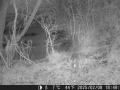 Hunter Camera