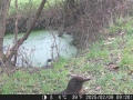 Hunter Camera