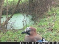 Hunter Camera