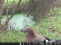 Hunter Camera