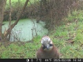 Hunter Camera