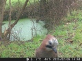 Hunter Camera