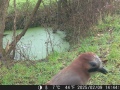 Hunter Camera