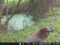 Hunter Camera