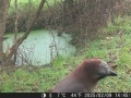 Hunter Camera