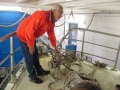 Snsm océarium 18 006