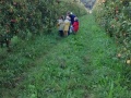 IMG_20211004_093448