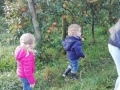 IMG_20211004_093456