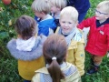IMG_20211004_093528