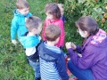 IMG_20211004_093622
