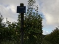 IMG_20211004_093757