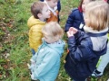 IMG_20211004_093856