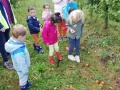 IMG_20211004_093924