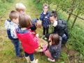 IMG_20211004_094201