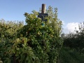 IMG_20211004_100210